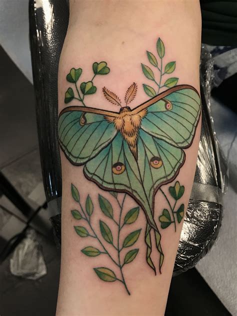 Detailed Moth Tattoo Designs for a Unique and Artistic Look